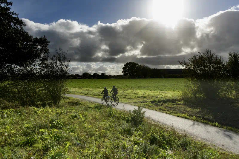 Kolding Kommune indsamler borgernes idéer til bedre cykelforhold gennem ny spørgeskemaundersøgelse