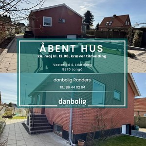 opslagsbillede