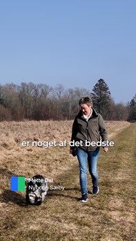 Opslagsbillede