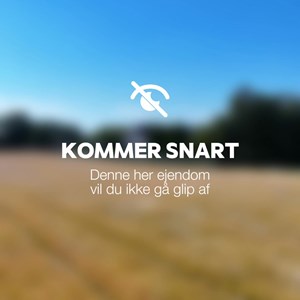 opslagsbillede