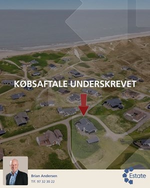 opslagsbillede