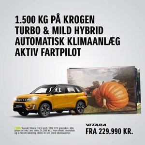Opslagsbillede