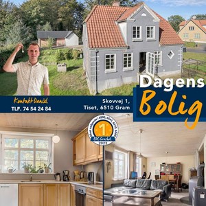 Opslagsbillede