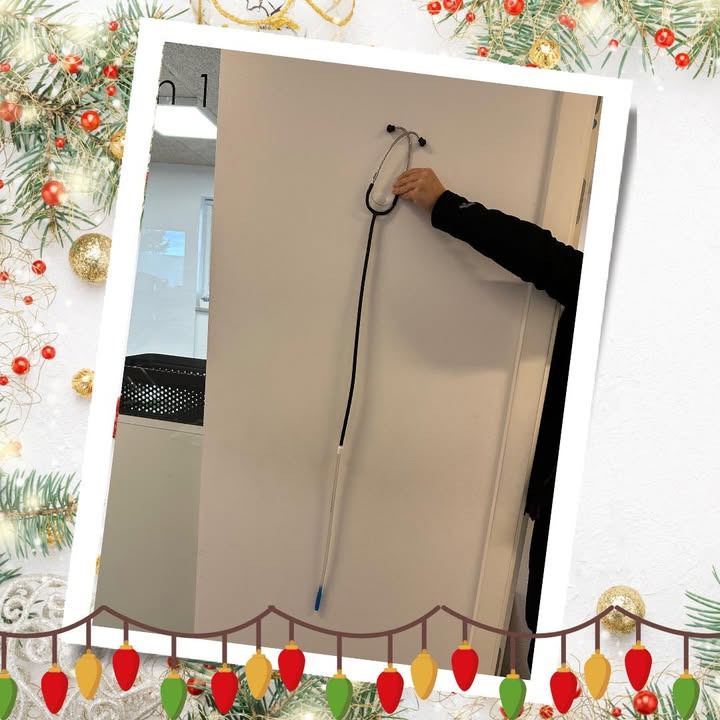 Center Dyreklinik lancerer konkurrence med chance for at vinde gratis ture i water walk til 3. advent