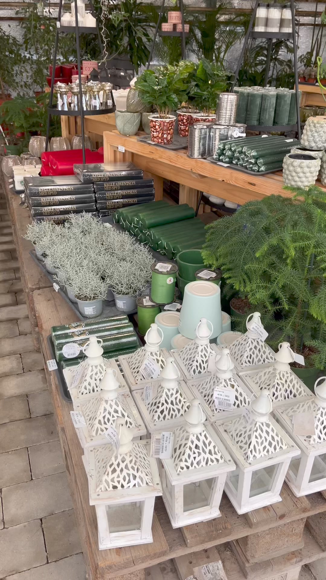 Midtjysk blomstermarked: Efterårs- og julevarer er klar, men vi har stadig alt til haven