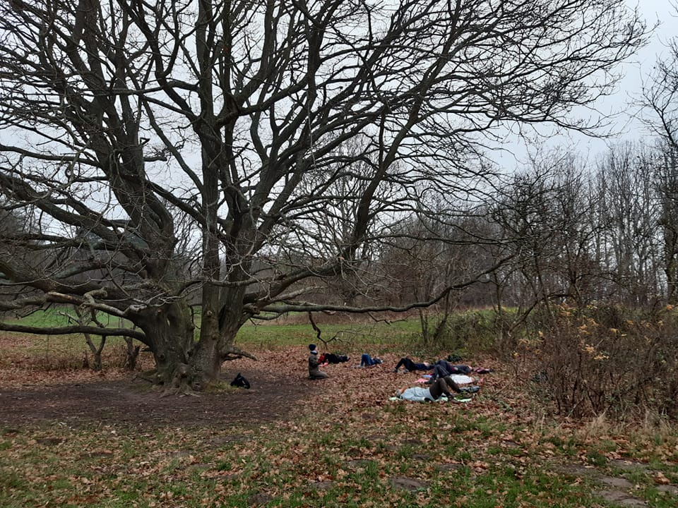 Se dagens updates fra Hammel her