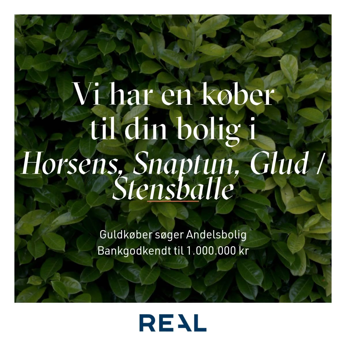 Opslagstavlen: Nyeste opdateringer fra Horsens