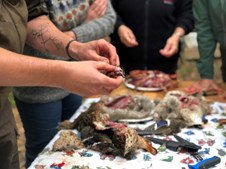 Munkhøjskolen bliver NaturligVis