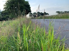 Vilde vejrabatter udfordrer trafiksikkerheden