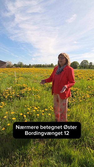 opslagsbillede