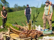 Oplev kronhjortens brøl i Mørkøv