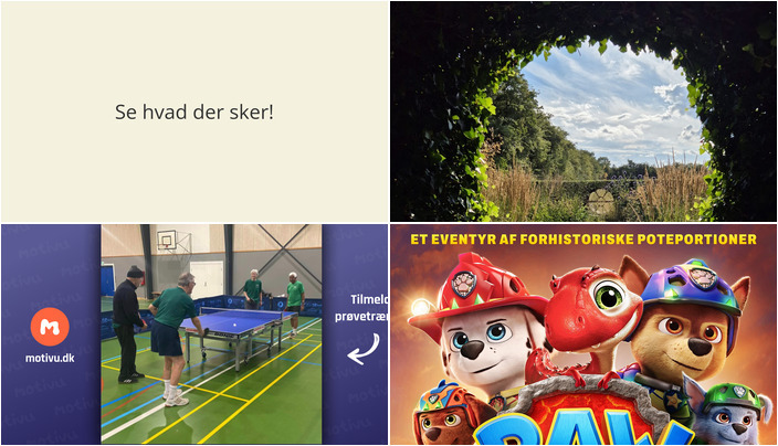 Oplev Faaborg denne weekend: Have, bordtennis og film
