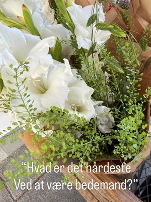 opslagsbillede