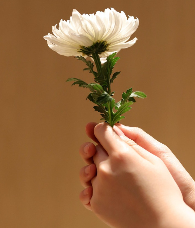 Når livet ændrer retning: En fortælling om overgang, fællesskab og værdighed