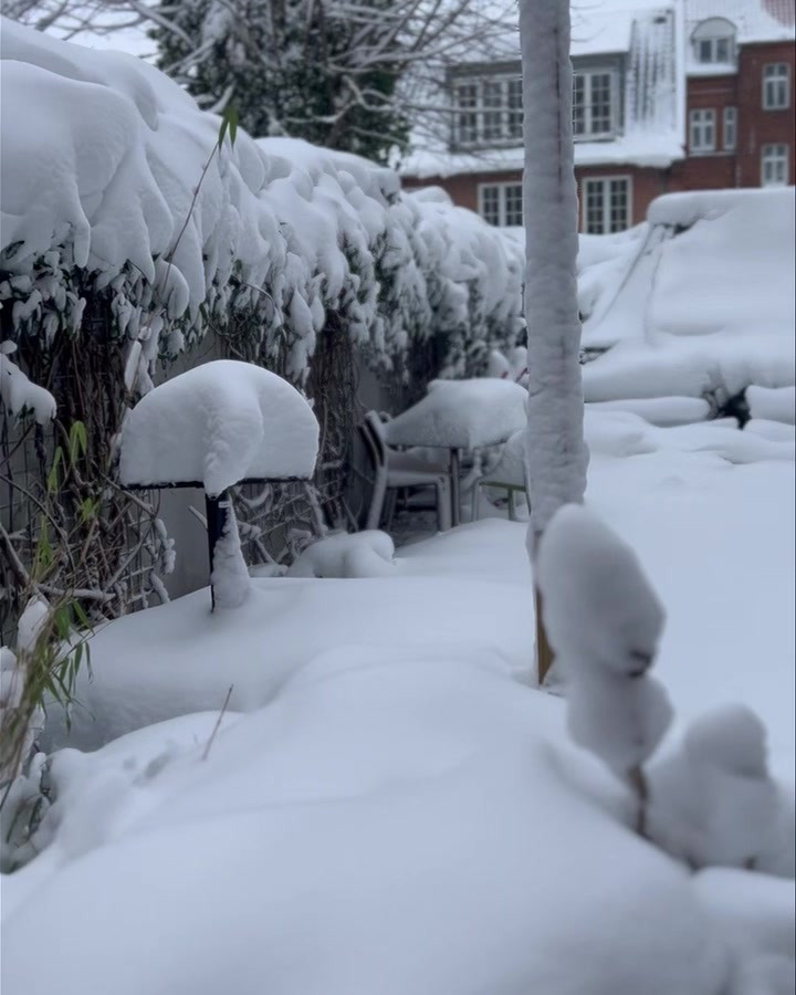 Det nyeste på Silkeborgs opslagstavle