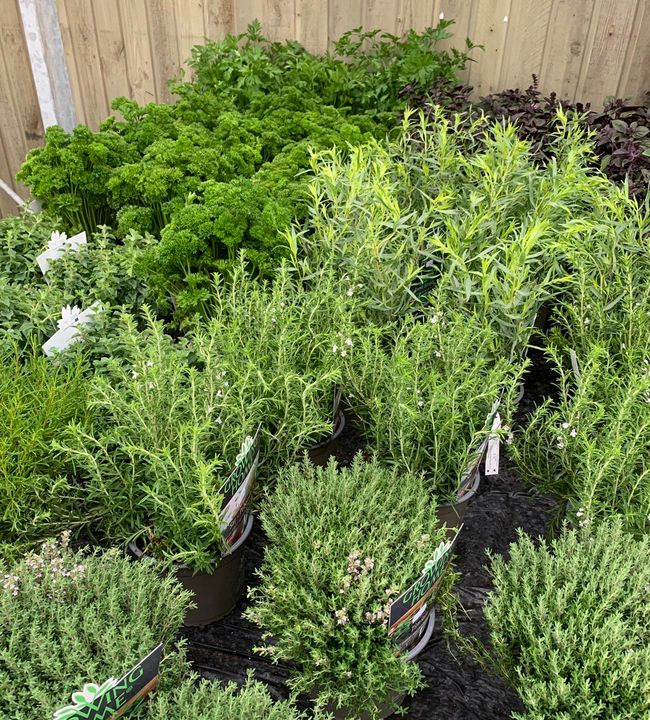 Se dagens updates fra Brønderslev her