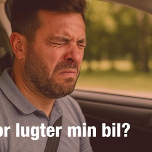 Opslagsbillede