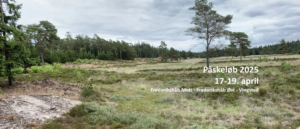 Påskeløb 2025 i Bredsten: En spændende orienteringsweekend