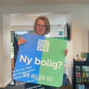 Opslagsbillede