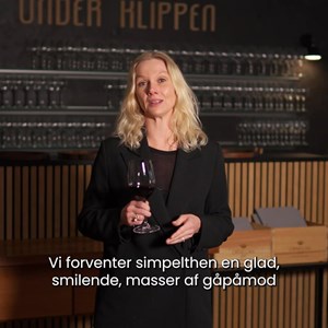 opslagsbillede