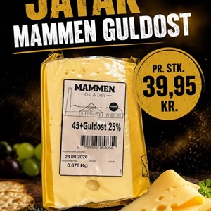 Opslagsbillede