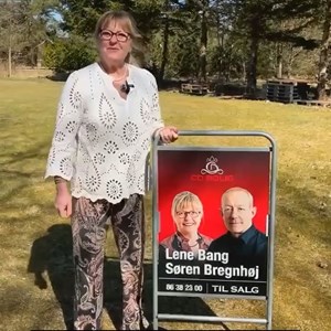 Opslagsbillede