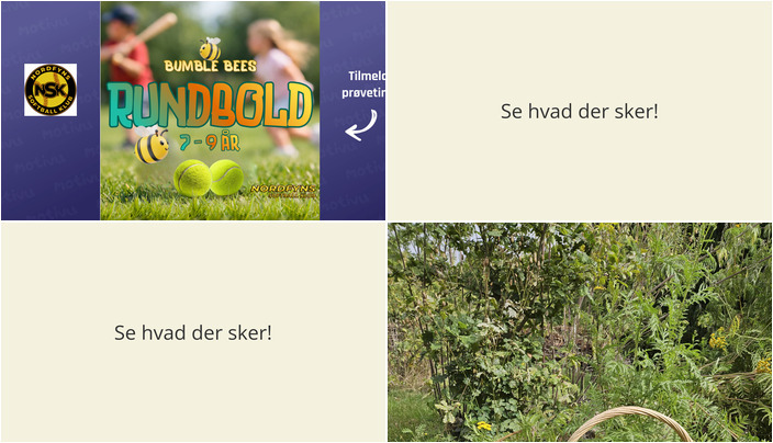 Oplev Otterup: Rundbold for børn og naturrefleksion for voksne