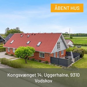Opslagsbillede