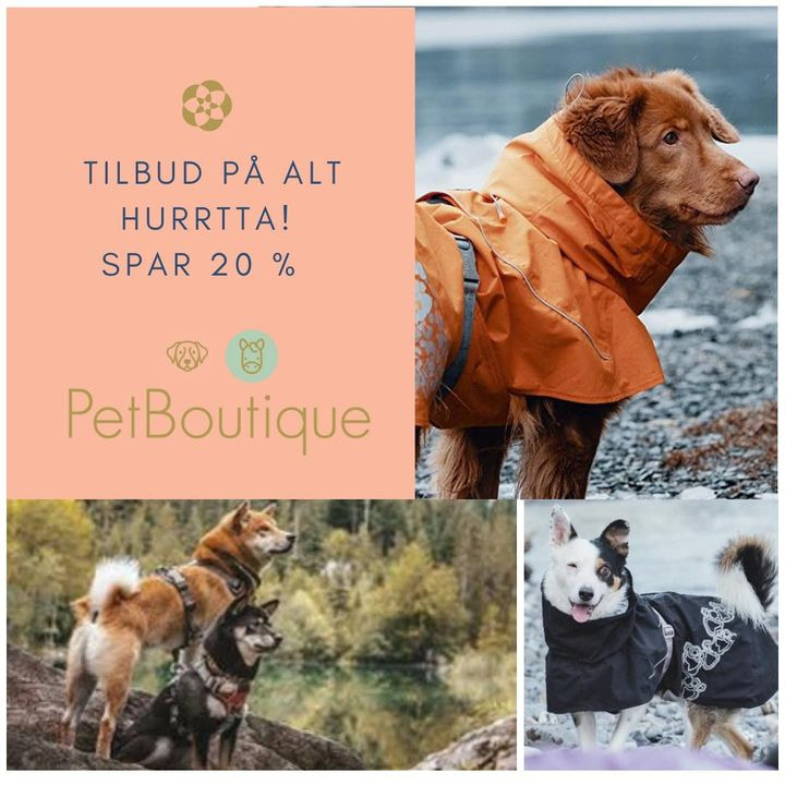 En finger på pulsen i Vejle