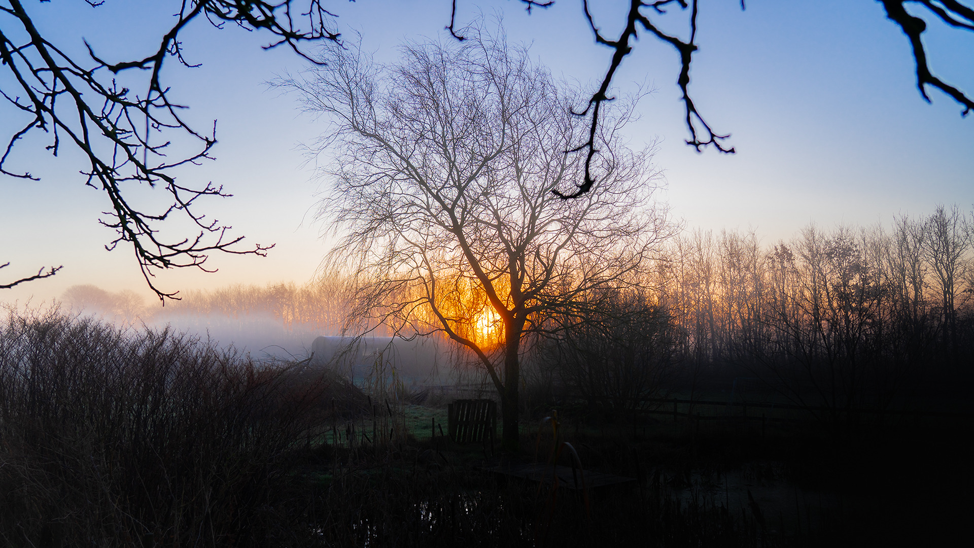 Stemningsfuld skumringslæsning på Nordby Bibliotek