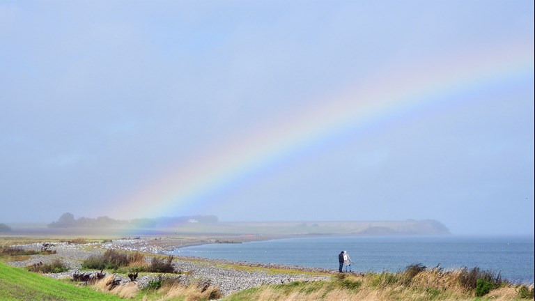 Informationsmøde om klimaindsats på Djursland inviterer lokale aktører til debat i Norddjurs