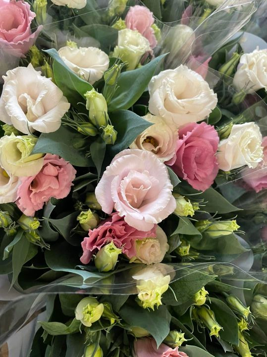 Opdatér dig her: Det nyeste fra Roslev