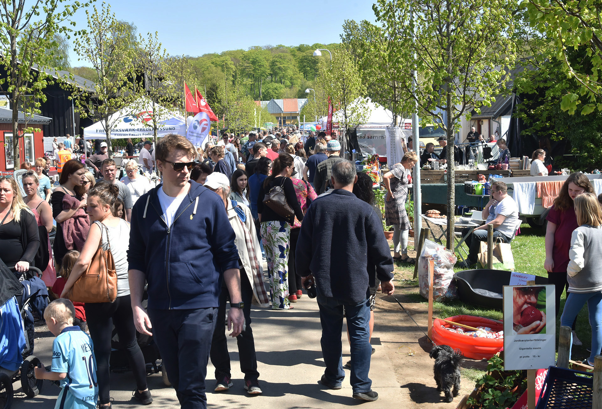 Marked og musik i Krudtværksområdet: En festlig dag for alle