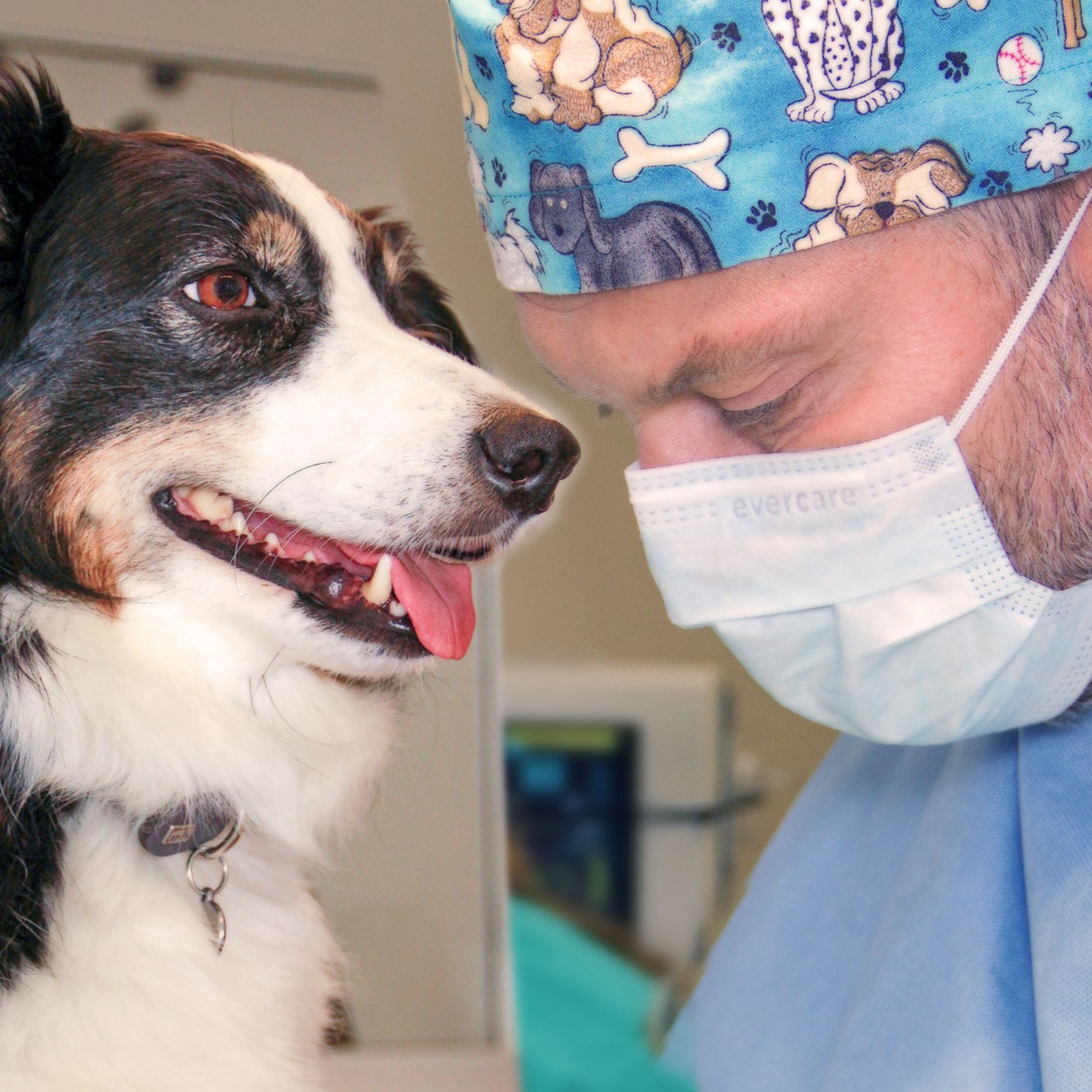 HERNING DYREHOSPITAL ApS