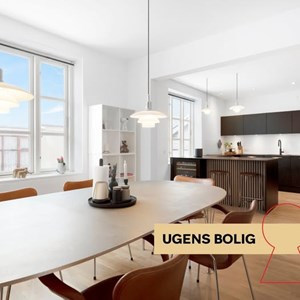 Opslagsbillede