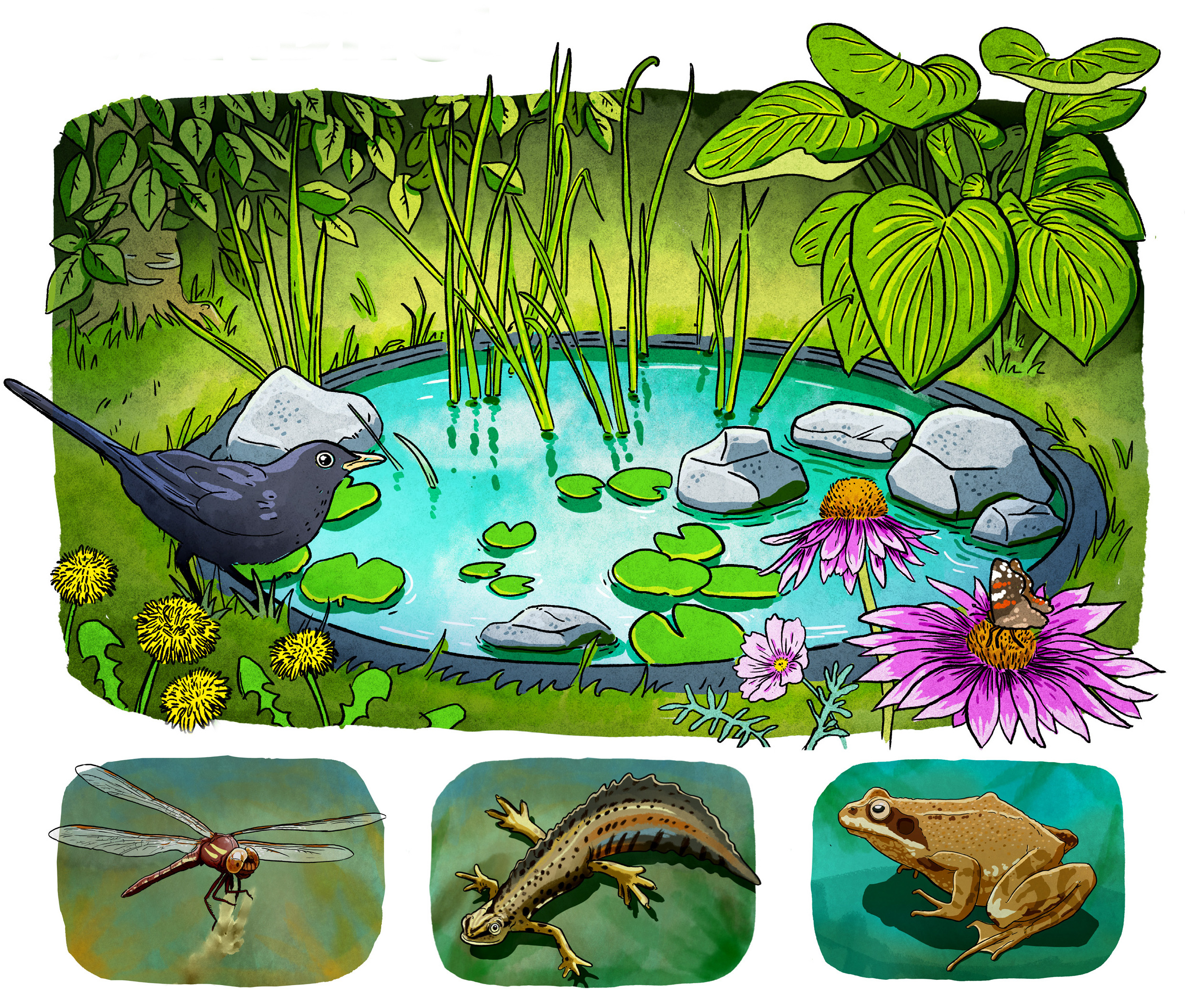 Se ny udstilling i Bæredygtighedshuset