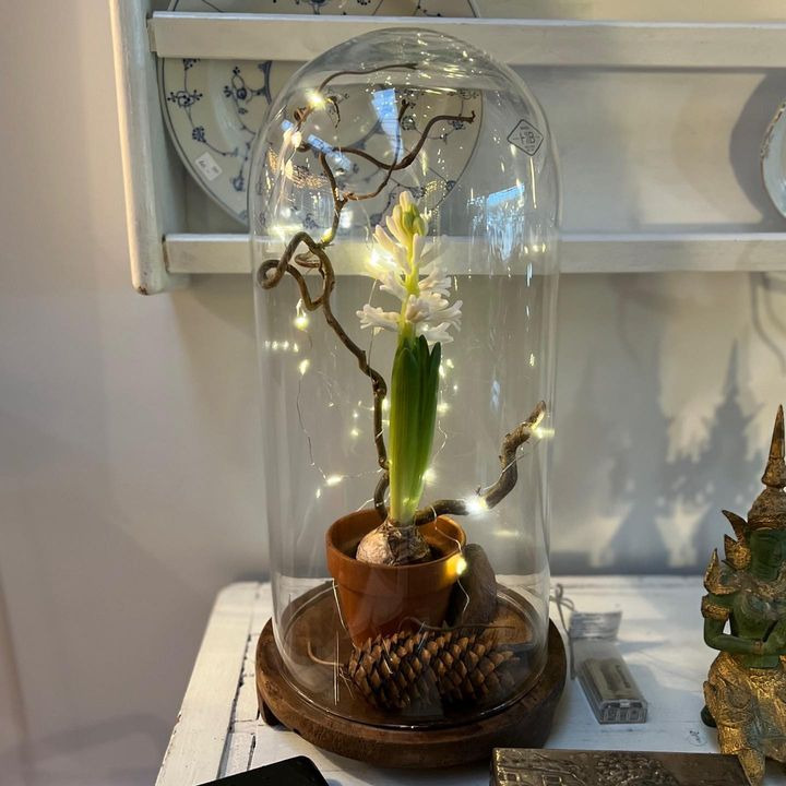 Nyt på opslagstavlen i Fredericia