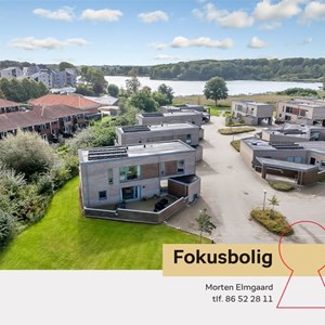opslagsbillede