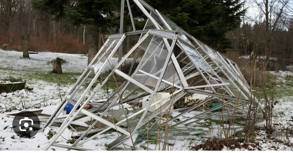 Glarmester Bertelsen Eftf. Aps. tilbyder hurtig hjælp til stormskadede drivhuse