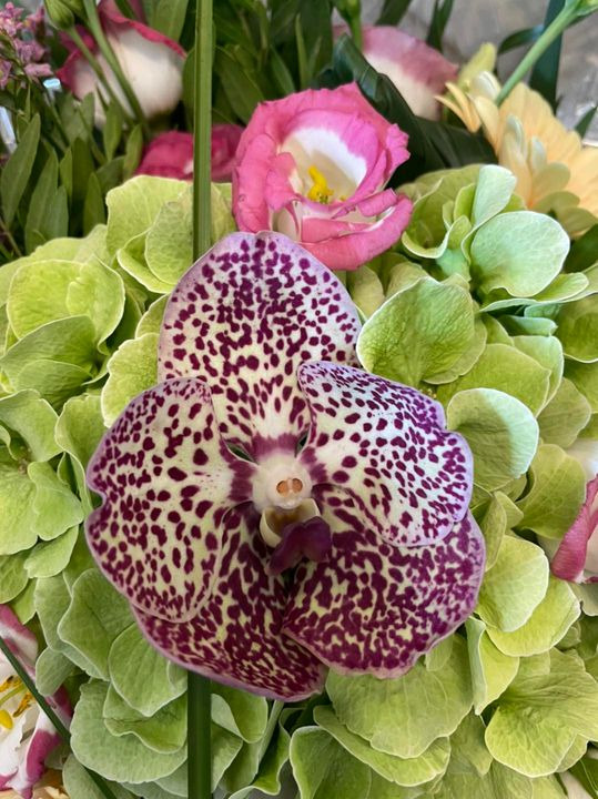 Det nyeste på Roslevs opslagstavle