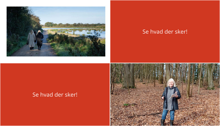 Oplev Vemb: Historie, natur og arkæologi i weekenden