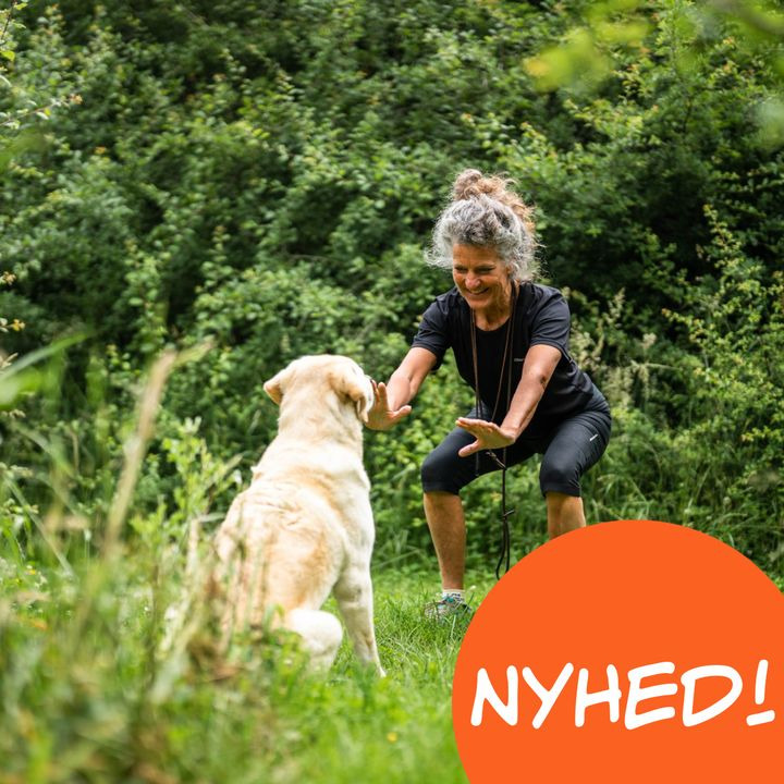 Opdatér dig her: Det nyeste fra Billund