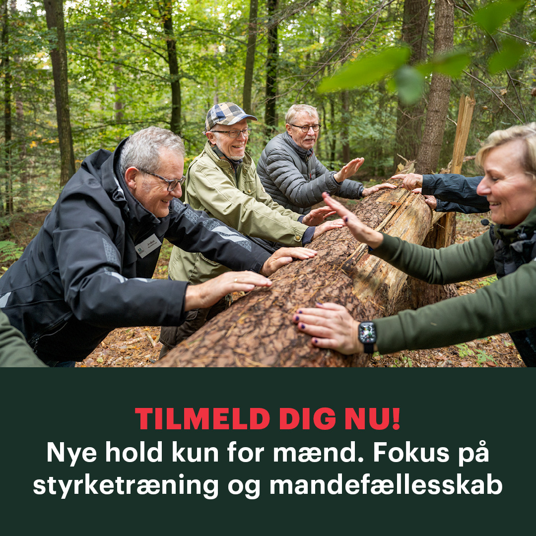 Læserbidrag: Naturtræning gør mig glad