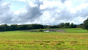 Tag med på markvandring i et nyetableret vådområde