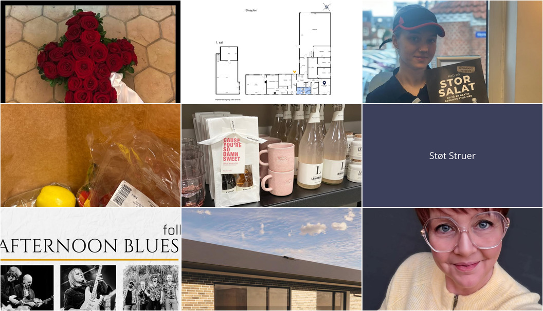 Nyt fra Kylling & Co Holstebro, Florist Pernille DB, EDC Ejen­doms­grup­pen Struer og 5 andre