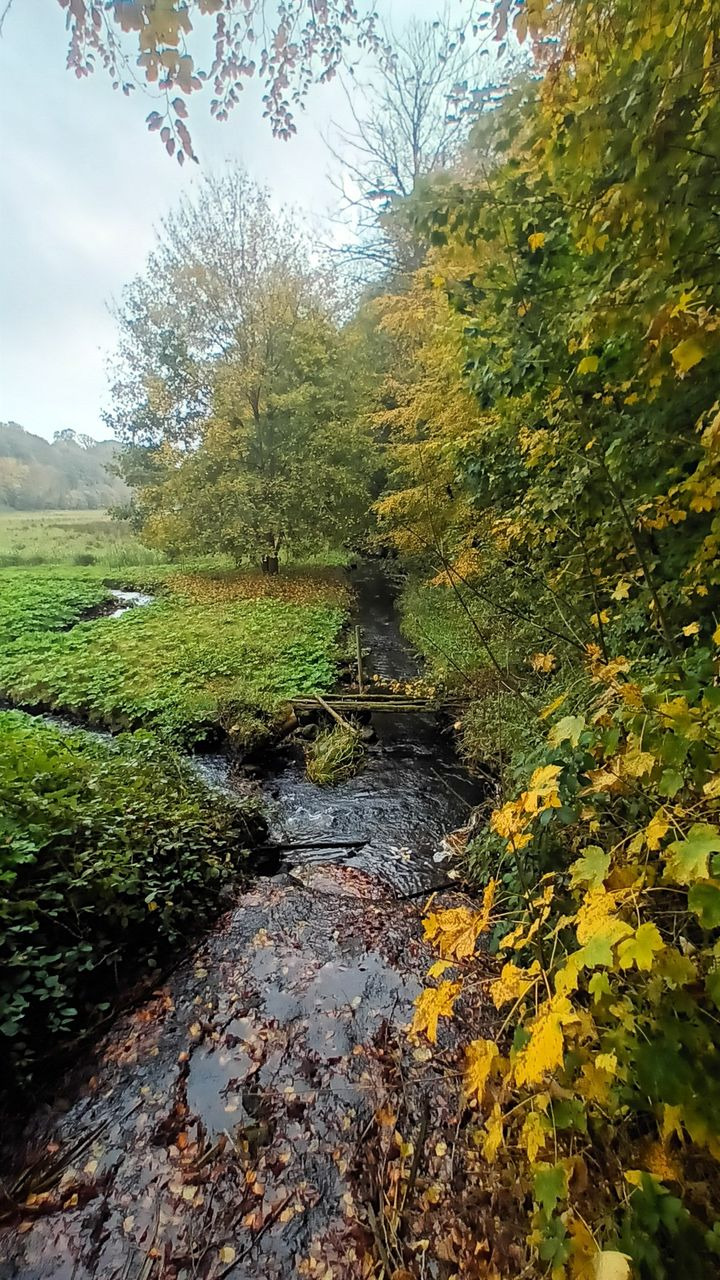 Min Bolighandel Vejle - Hedensted: Klar til efterårets farver for dit boligsalg!