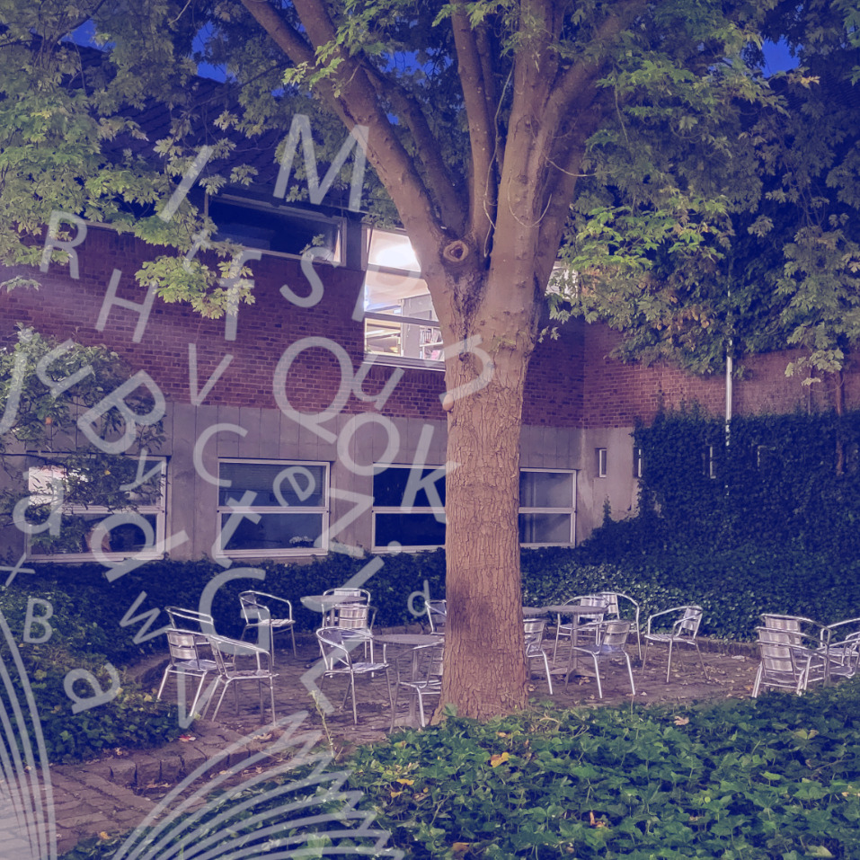 Lysfest på Roskilde Bibliotek: En aften fyldt med lys, musik og poesi