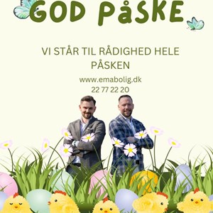 Opslagsbillede