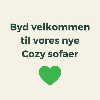 Opslagsbillede