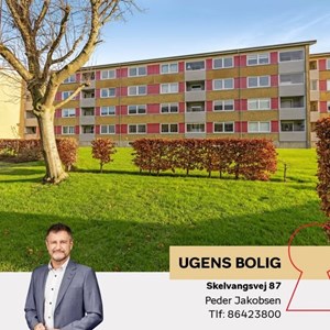 Opslagsbillede
